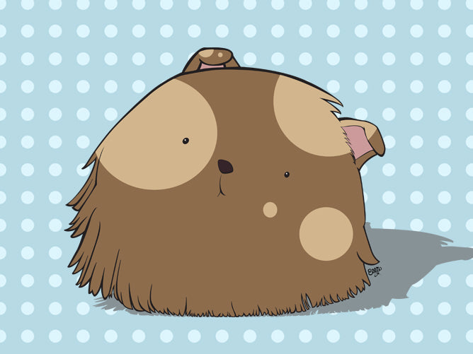 Guinea Pig